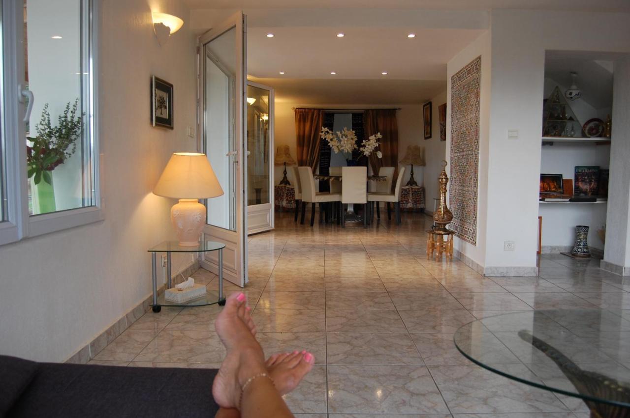 Villa Panoramique Saint-Clair-du-Rhone Eksteriør billede