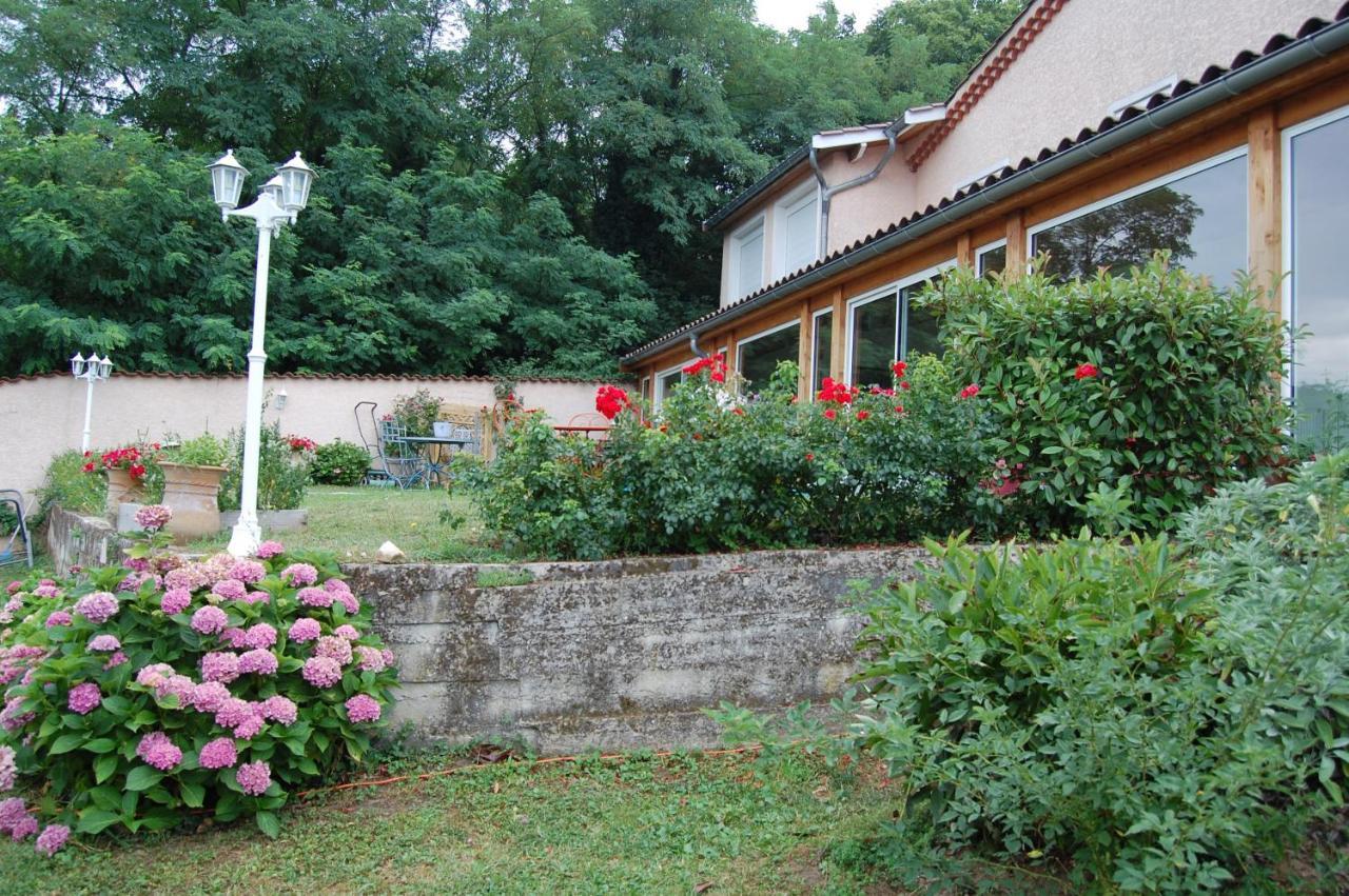 Villa Panoramique Saint-Clair-du-Rhone Eksteriør billede