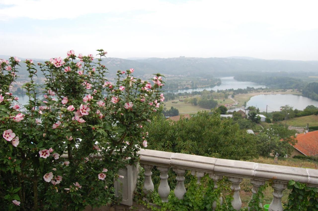 Villa Panoramique Saint-Clair-du-Rhone Eksteriør billede