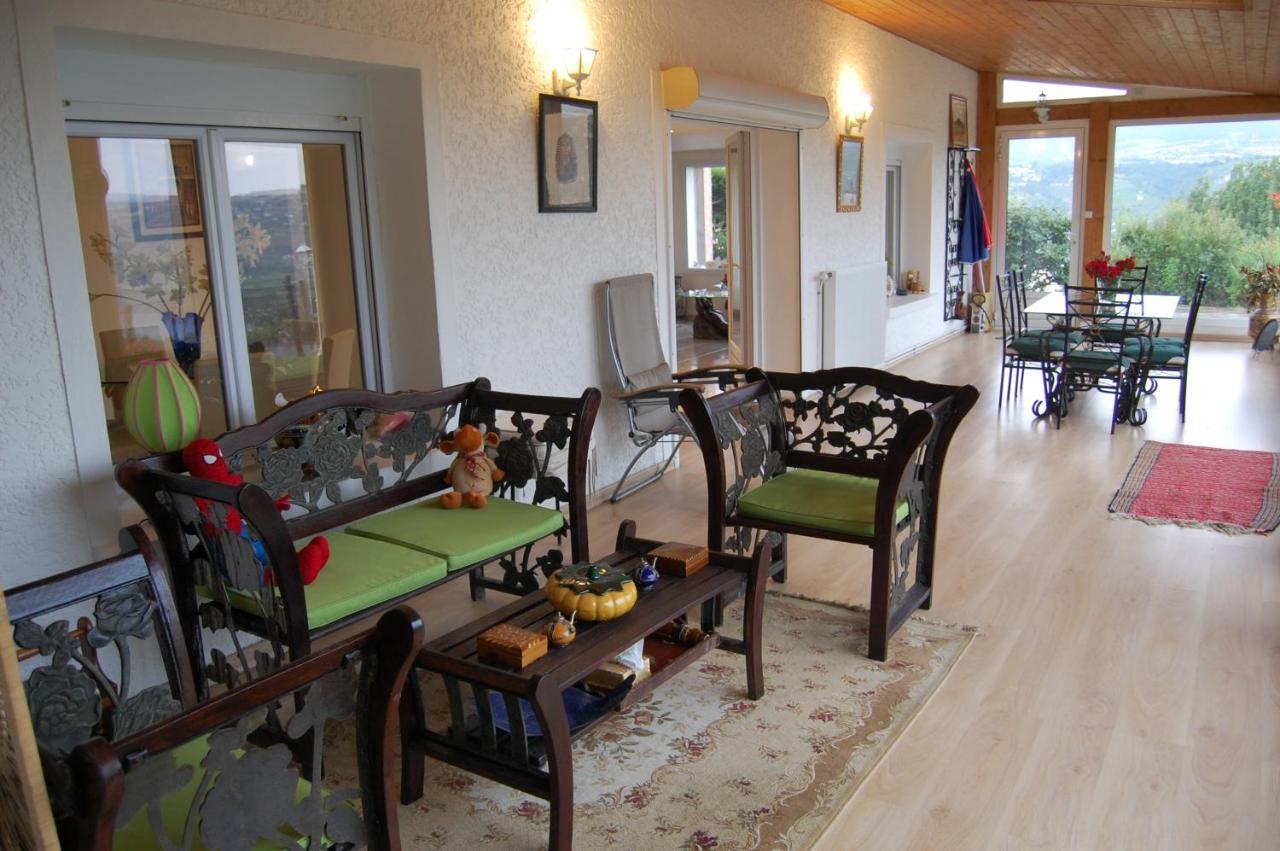 Villa Panoramique Saint-Clair-du-Rhone Eksteriør billede