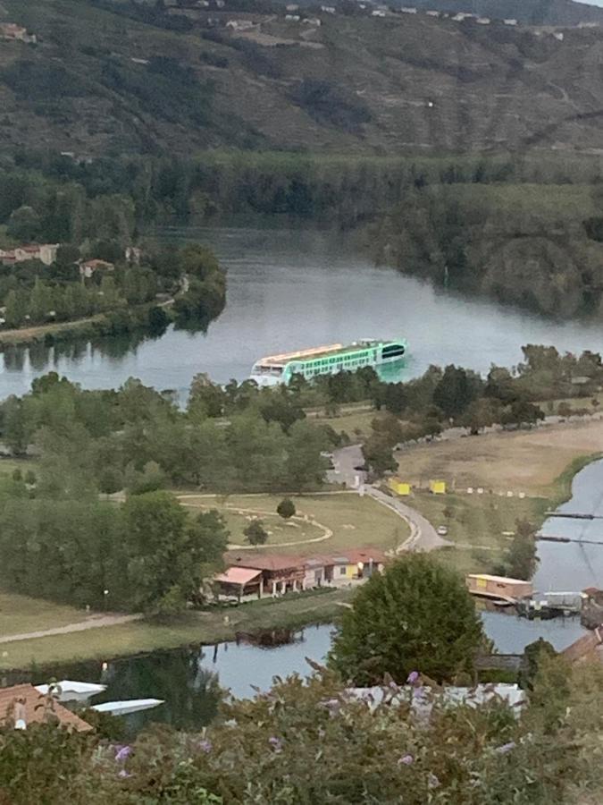 Villa Panoramique Saint-Clair-du-Rhone Eksteriør billede